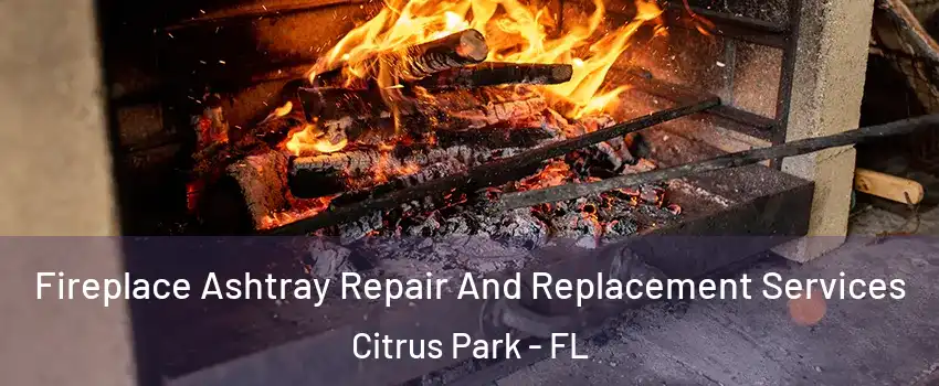  Fireplace Ashtray Repair And Replacement Services Citrus Park - FL