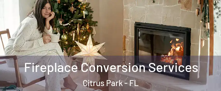  Fireplace Conversion Services Citrus Park - FL