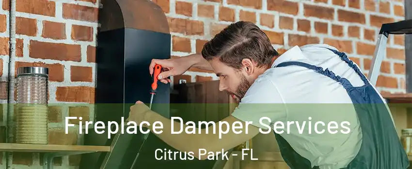 Fireplace Damper Services Citrus Park - FL