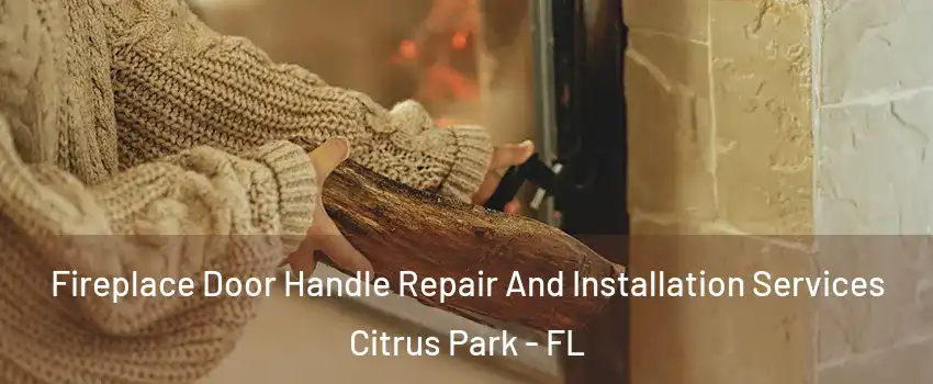  Fireplace Door Handle Repair And Installation Services Citrus Park - FL