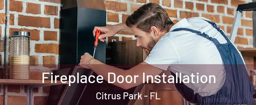  Fireplace Door Installation Citrus Park - FL
