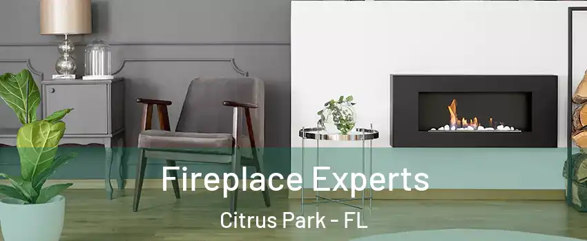  Fireplace Experts Citrus Park - FL