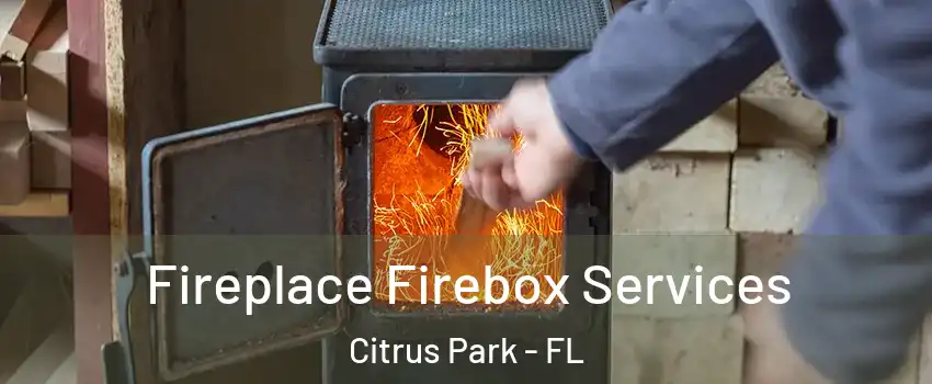  Fireplace Firebox Services Citrus Park - FL