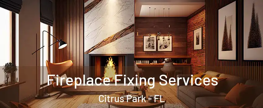  Fireplace Fixing Services Citrus Park - FL