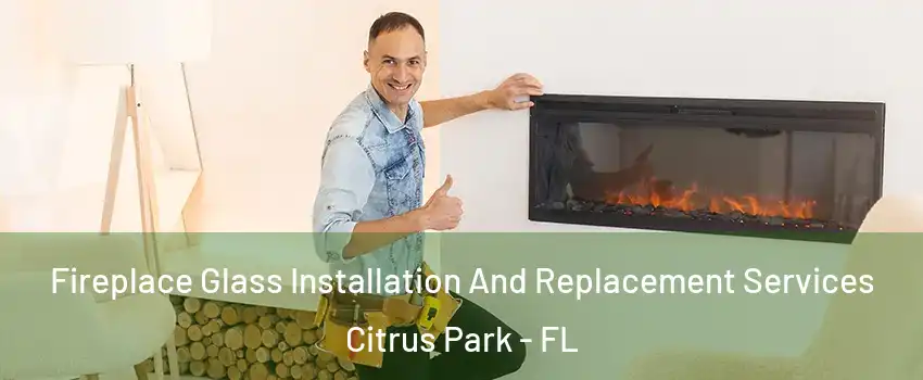  Fireplace Glass Installation And Replacement Services Citrus Park - FL