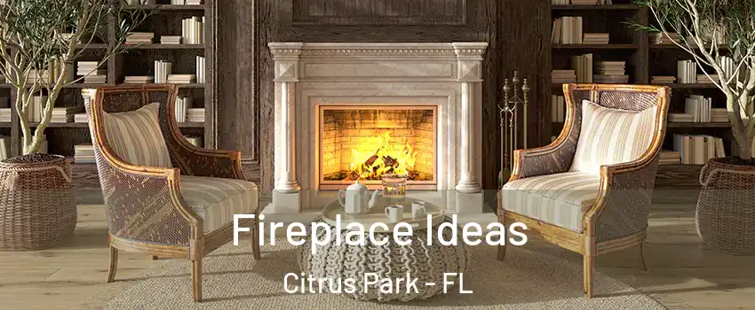  Fireplace Ideas Citrus Park - FL