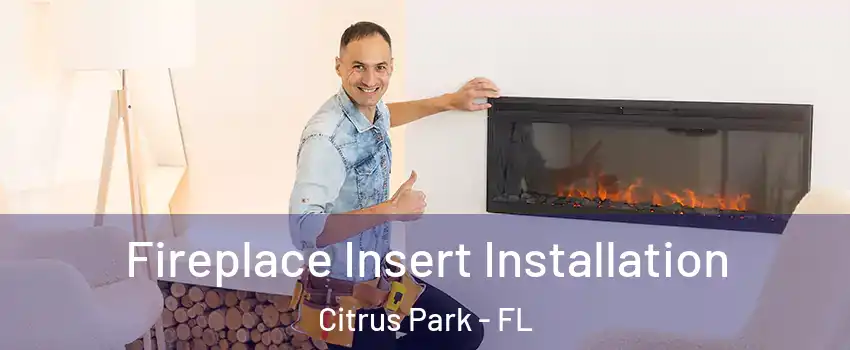  Fireplace Insert Installation Citrus Park - FL
