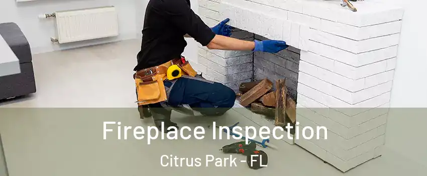  Fireplace Inspection Citrus Park - FL