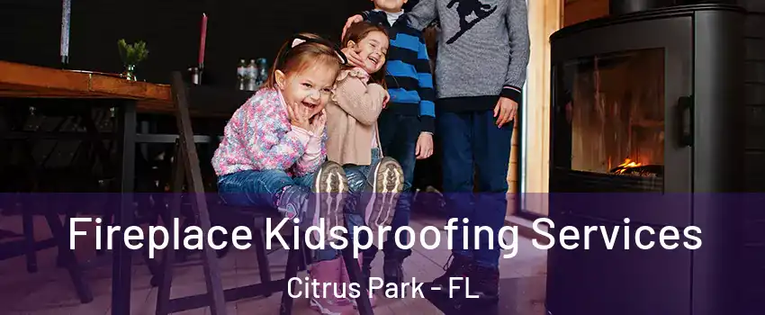  Fireplace Kidsproofing Services Citrus Park - FL