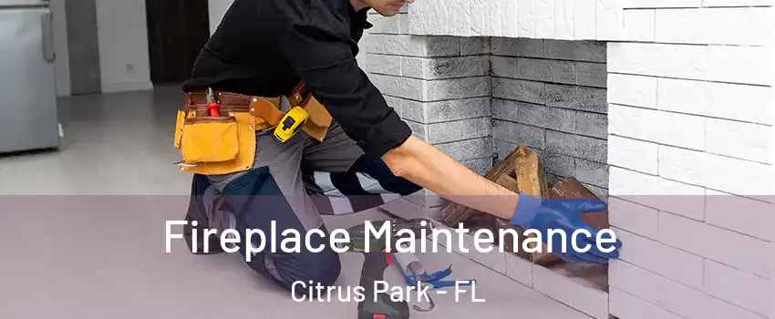  Fireplace Maintenance Citrus Park - FL