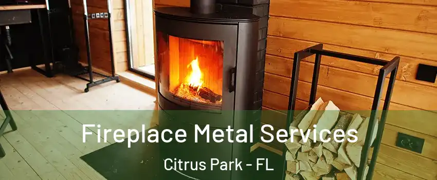  Fireplace Metal Services Citrus Park - FL