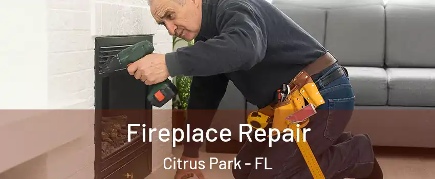  Fireplace Repair Citrus Park - FL