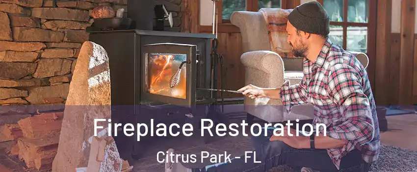  Fireplace Restoration Citrus Park - FL