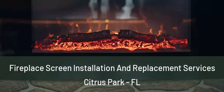  Fireplace Screen Installation And Replacement Services Citrus Park - FL