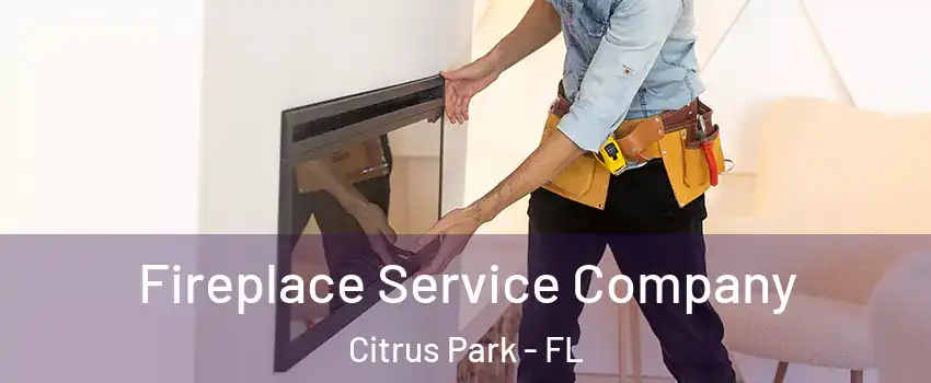  Fireplace Service Company Citrus Park - FL