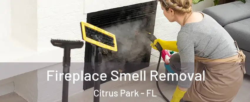  Fireplace Smell Removal Citrus Park - FL