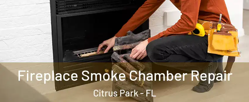  Fireplace Smoke Chamber Repair Citrus Park - FL