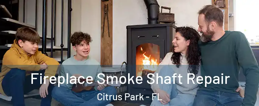  Fireplace Smoke Shaft Repair Citrus Park - FL