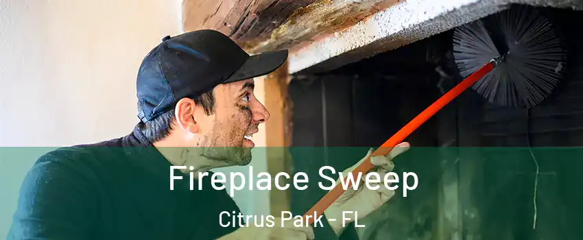  Fireplace Sweep Citrus Park - FL