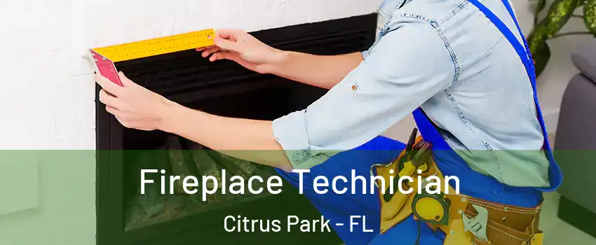  Fireplace Technician Citrus Park - FL
