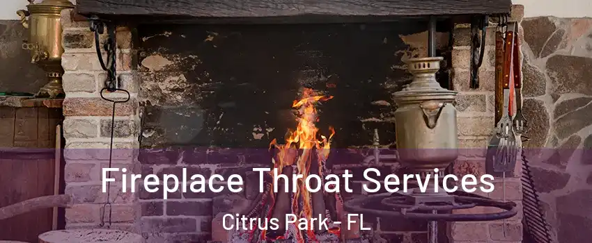  Fireplace Throat Services Citrus Park - FL