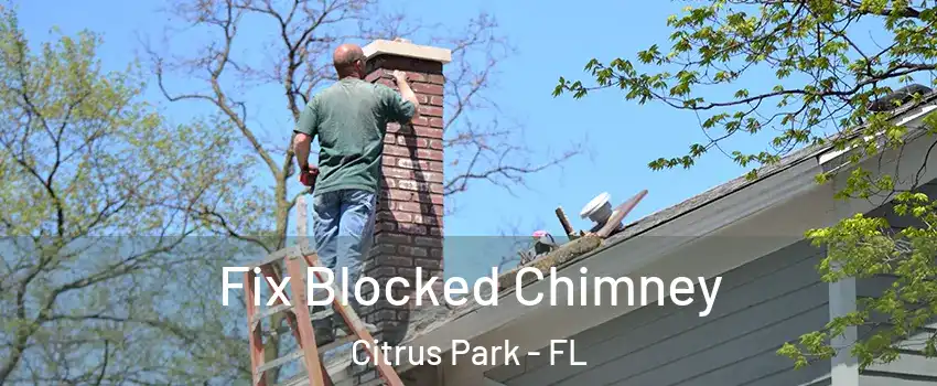  Fix Blocked Chimney Citrus Park - FL