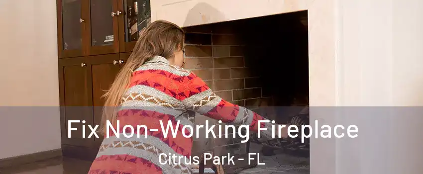  Fix Non-Working Fireplace Citrus Park - FL