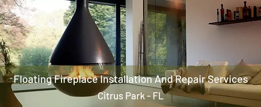  Floating Fireplace Installation And Repair Services Citrus Park - FL