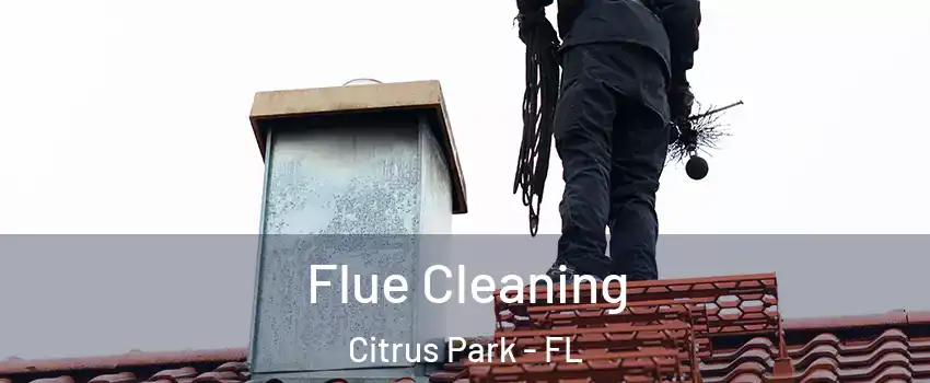  Flue Cleaning Citrus Park - FL