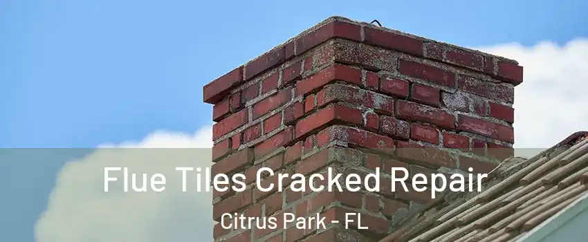  Flue Tiles Cracked Repair Citrus Park - FL