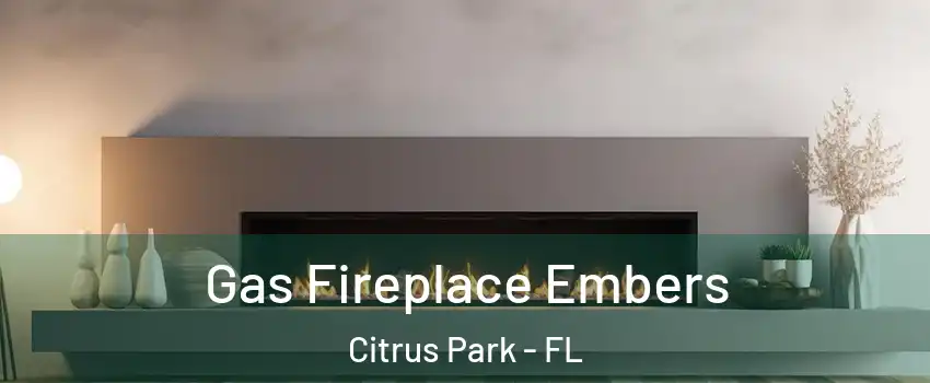  Gas Fireplace Embers Citrus Park - FL