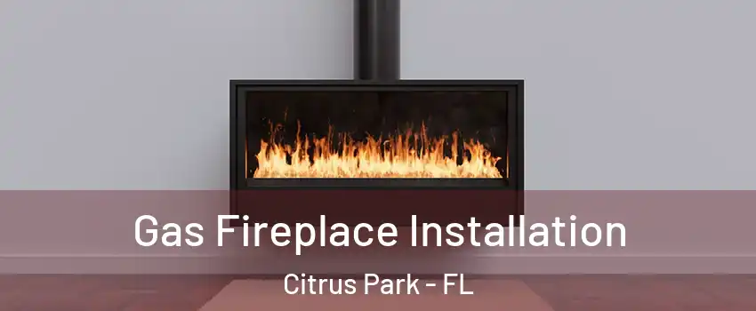  Gas Fireplace Installation Citrus Park - FL