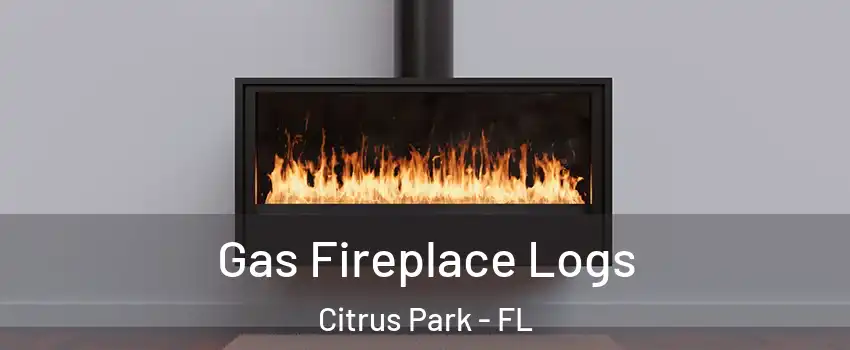  Gas Fireplace Logs Citrus Park - FL