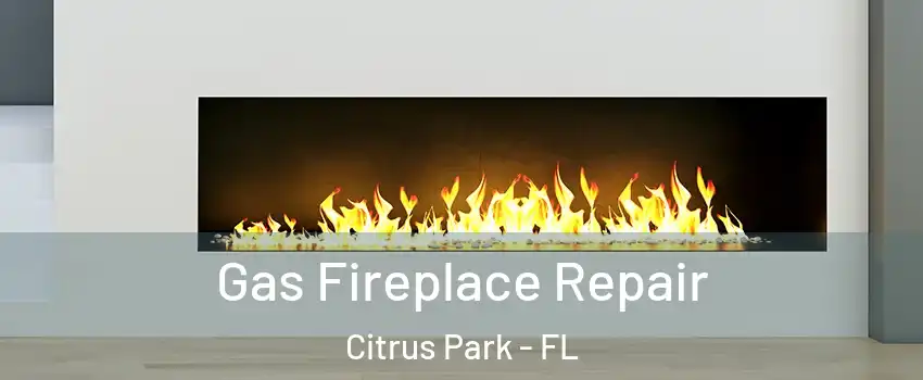  Gas Fireplace Repair Citrus Park - FL