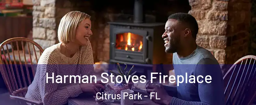  Harman Stoves Fireplace Citrus Park - FL