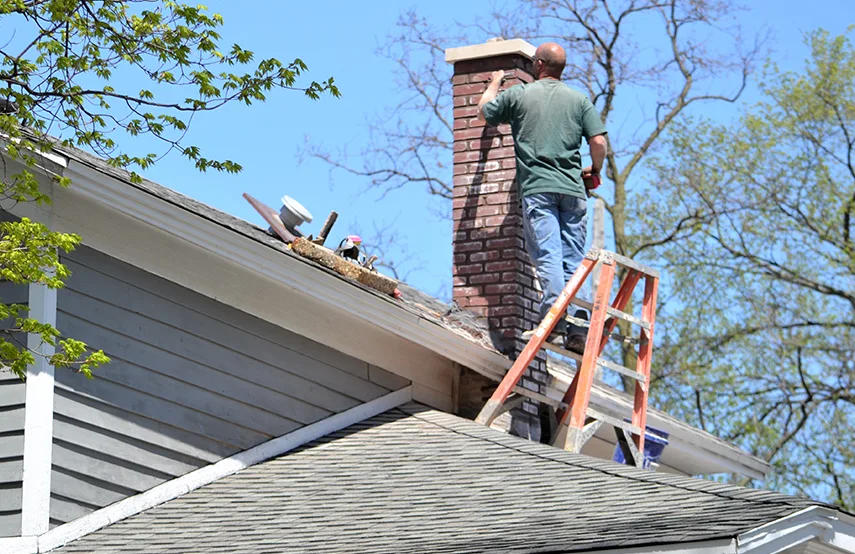 Chimney & Fireplace Inspections Services in Citrus Park, FL