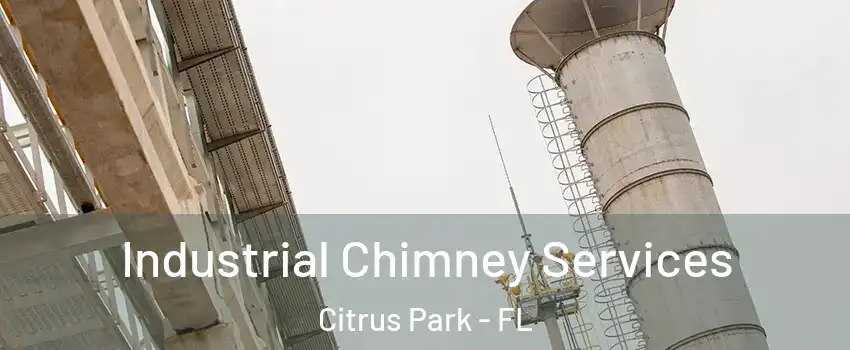  Industrial Chimney Services Citrus Park - FL
