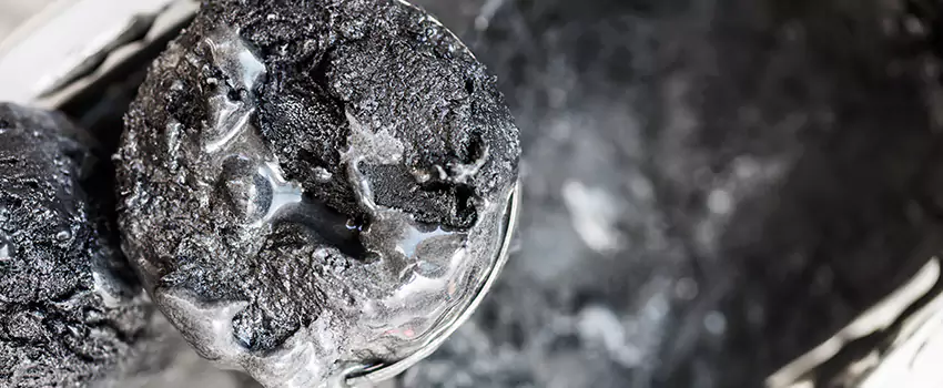 Clogged Dryer Vent Lint Cleaning in Citrus Park, Florida