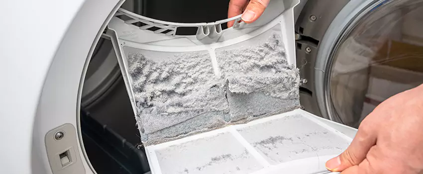Best Dryer Lint Removal Company in Citrus Park, Florida