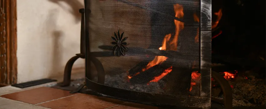 Electric Metal Fireplace installation Services in Citrus Park, FL