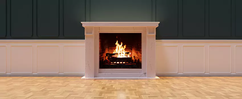 Napoleon Electric Fireplaces Inspection Service in Citrus Park, Florida
