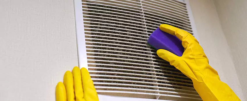 Vent Cleaning Company in Citrus Park, FL