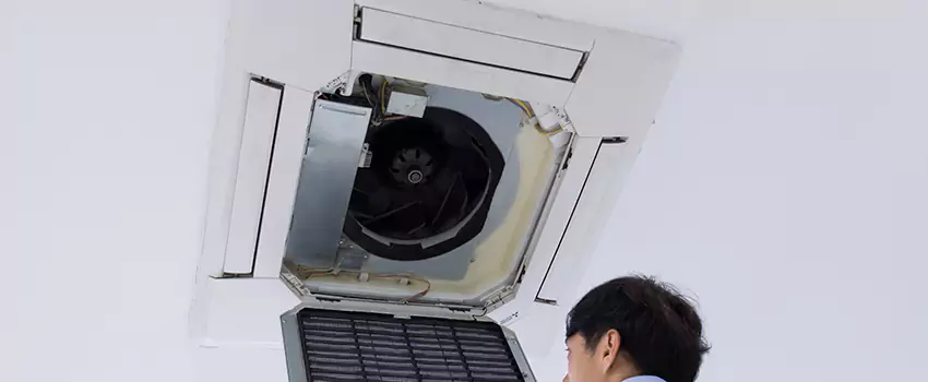 Benefits of Professional Air Duct Cleaning in Citrus Park, Florida