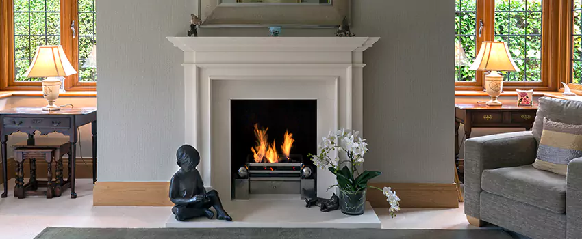 Astria Open-Hearth Wood Fireplaces Services in Citrus Park, FL