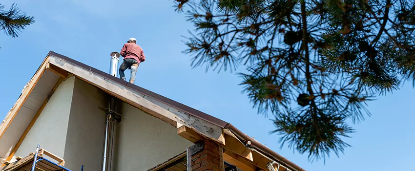 Birds Removal Contractors from Chimney in Citrus Park, FL