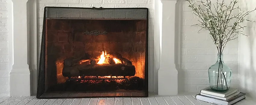 Cost-Effective Fireplace Mantel Inspection And Maintenance in Citrus Park, FL