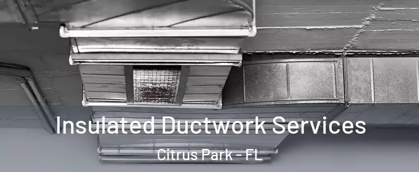  Insulated Ductwork Services Citrus Park - FL