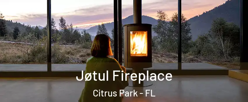  Jøtul Fireplace Citrus Park - FL