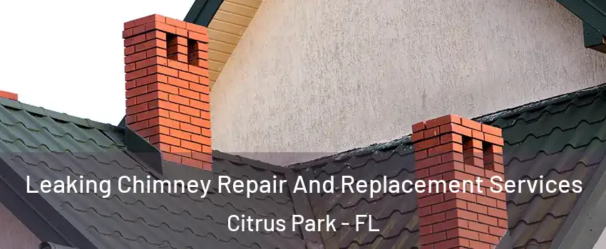  Leaking Chimney Repair And Replacement Services Citrus Park - FL