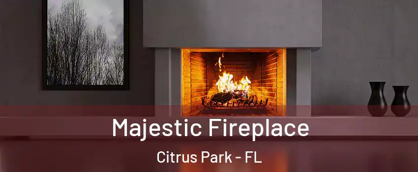  Majestic Fireplace Citrus Park - FL